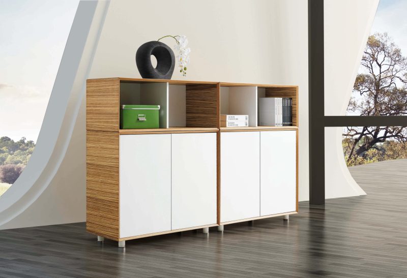 Evolution Cabinet - Image 2