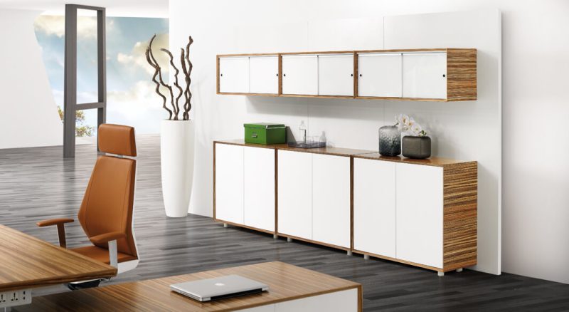Evolution Cabinet